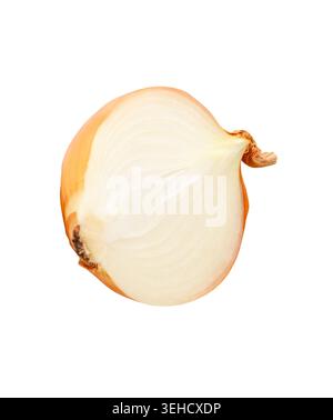White or big onion bulb in half is isolated on white background with clipping path. Stock Photo