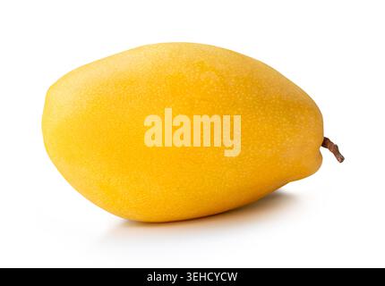 One ripe yellow mango fruit is isolated on white background with clipping path. Stock Photo