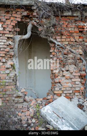 Broken windows and damaged brick wall of abandoned building with shattered glass Stock Photo