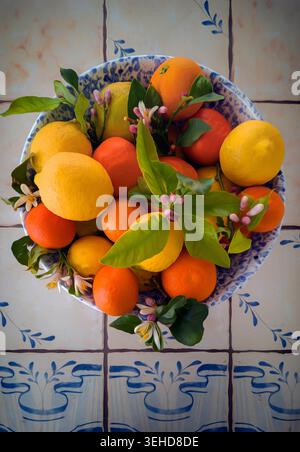 A still life of oranges, lemons and lemon blossom in a blue bowl, shot from above on a blue tiled table. Stock Photo