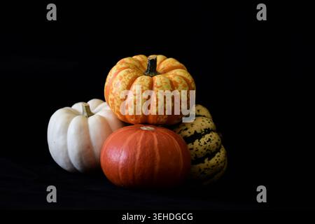 Assorted decorative pumpkins on black background Stock Photo
