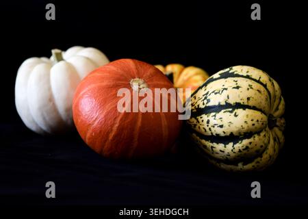 Assorted decorative pumpkins on black background Stock Photo