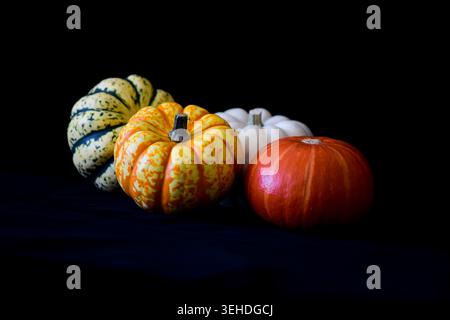 Assorted decorative pumpkins on black background Stock Photo