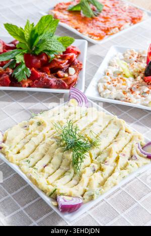 Turkish Mixed Meze Appetizer Plates Served with Rakı, Assorted Mediterranean Dips, Salads, Cheese, Olives and Traditional Small Plates Stock Photo