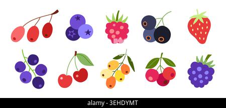 Colorful berry fruit set in flat style, isolated Stock Vector