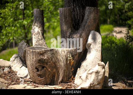 Decorative rustic bench made of a large weathered tree stump and natural stones in a garden or park. Stock Photo