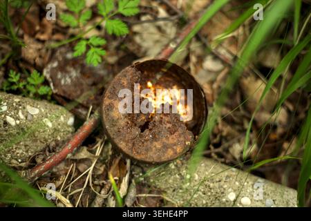 Top view of a broken, rusty metal object lying on the ground next to concrete debris in a forest in Croatia. Stock Photo