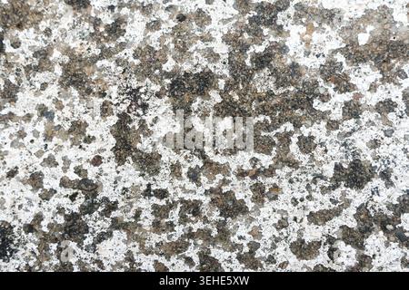 Close up macro view of rough weathered grey stone surface texture background displaying an abstract natural pattern creating calm nostalgic and myster Stock Photo