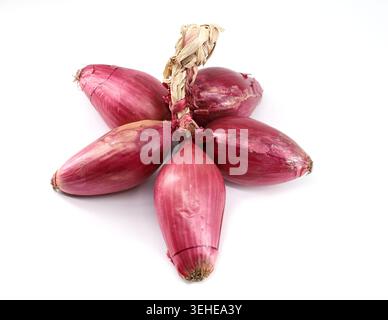 Bunch of Tropea red onions isolated on white background Stock Photo