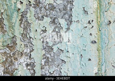 Textured Abstract of Peeling Green Grey Paint on a Rough Weathered Surface Stock Photo