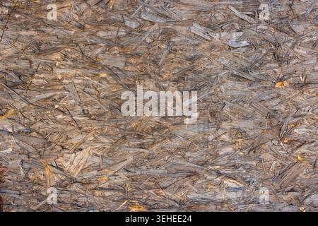 Close‑up texture of oriented strand board (OSB), showing the detailed pattern of compressed wood flakes in natural brown tones Stock Photo