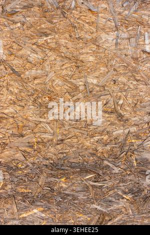 Close‑up texture of oriented strand board (OSB), showing the detailed pattern of compressed wood flakes in natural brown tones Stock Photo