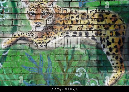 Realistic leopard street art mural on a brick wall in Brighton, England. Stock Photo