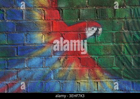 Vibrant red scarlet macaw parrot street art mural with colourful rainbow splashes painted on a textured brick wall in Brighton, England. Stock Photo