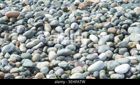 Many wet smooth sea pebbles on the beach shore. Stock Photo
