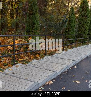 A stone-paved staircase with a metal handrail runs alongside an asphalt road. The scene is set in a park during autumn, with colorful fallen leaves an Stock Photo