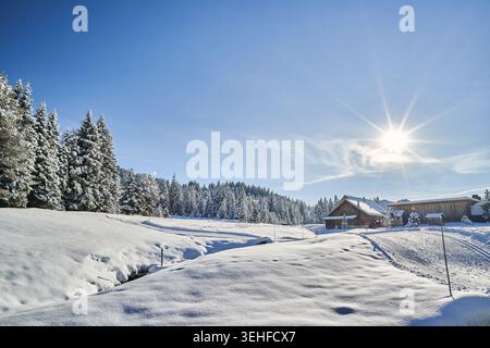 A peaceful snow-covered cabin nestled by pine forest, bathed in bright sunlight on a clear winter day. Stock Photo