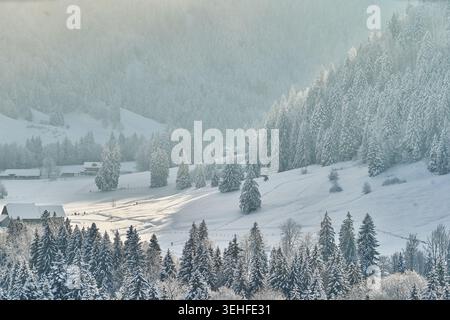 Peaceful winter landscape showing snow-covered fir trees, rolling hills and a small mountain village in soft morning light Stock Photo