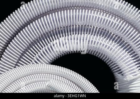 White corrugated plastic pipes neatly coiled against a solid black background. Selective focus. Stock Photo