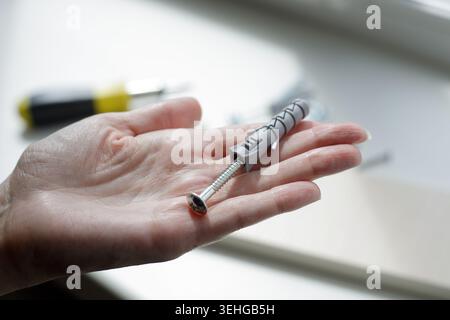 Hand holding gray plastic dowel against white window. Screwdriver on windowsill on sunny day. Home renovation and improvement concept. Stock Photo