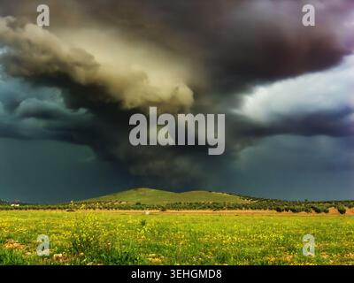 Dark clouds loom over golden field. Storm approaches with gravity and intensity. Green hills stretch beneath a tense sky. Yellow wildflowers bloom und Stock Photo