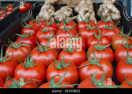 Rows of fresh red truss tomatoes on the vine displayed in cardboard crates alongside bundles of fresh ginger roots at a retail food market. Stock Photo