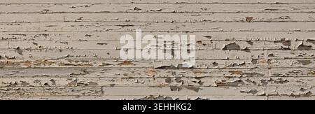 Close-up of texture of weathered, old wooden planks with heavily peeling and cracked white paint, Saaremaa, Estonia, Europe. Stock Photo