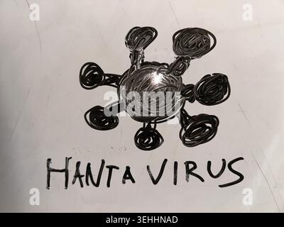 Hand-drawn illustration of a hantavirus concept featuring a black virus sketch and handwritten text on white paper. This simple educational drawing re Stock Photo