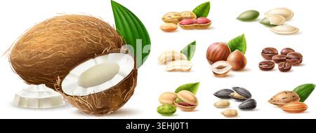 Realistic images of nuts and seeds. Natural dried snacks with leaves. Healthy foods. Plant based foods. Coffee beans. Coconut whole and piece. Almonds Stock Vector