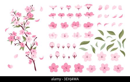 Sakura branch. Beautiful blooming tree, japanese cherry with pink flowers, delicate petals, twigs, leaves, different angles, spring botanical Stock Vector