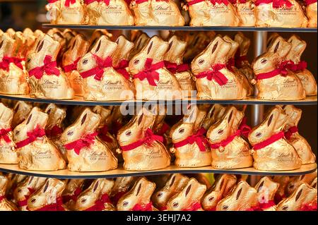 BERLIN - MAR 26: Rows of traditional chocolate bunnies for Easter bunnies in the store on March 26. 2026, Germany Stock Photo