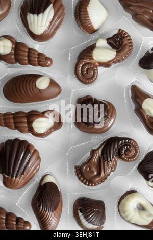 Seashell shaped chocolate candy in plastic package closeup Stock Photo