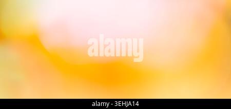 Warm yellow orange and soft pink blurred gradient background with glowing light effect Stock Photo