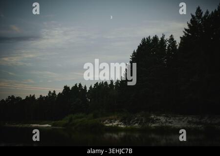 Night forest river with a moon in a blue sky Stock Photo