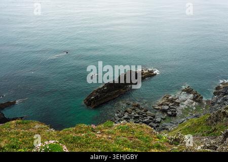 Looking down from the cliffs at Old Head of Kinsale at turquoise Atlantic water and rocky reefs, County Cork, Ireland. Stock Photo