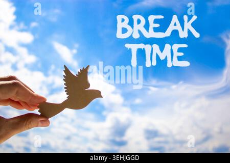 Break time symbol. Concept word Break time on beautiful blue sky. Businessman's hand with wooden bird. Beautiful blue sky and cloud background. Busine Stock Photo