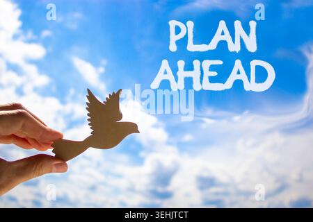 Plan ahead symbol. Concept word Plan ahead on beautiful blue sky. Businessman's hand with wooden bird. Beautiful blue sky and cloud background. Busine Stock Photo