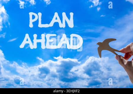Plan ahead symbol. Concept word Plan ahead on beautiful blue sky. Businessman's hand with wooden bird. Beautiful blue sky and cloud background. Busine Stock Photo