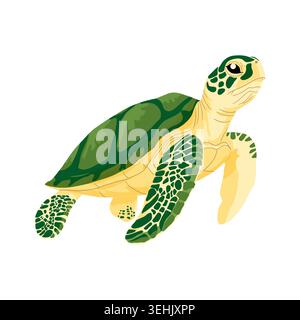 A sea turtle. vector drawing. An animal from the depths of the ocean, isolated on a white background. Stock Vector