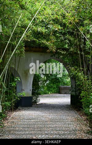 A peaceful cobblestone pathway passes beneath a rustic stone archway framed by dense bamboo and tropical greenery in a Portuguese garden setting. Stock Photo