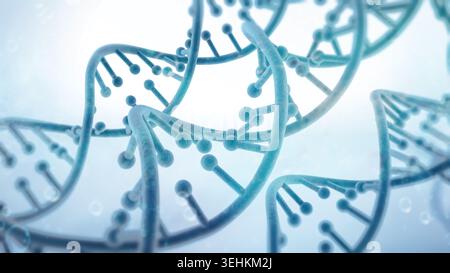DNA strands isolated on white. Stock Photo
