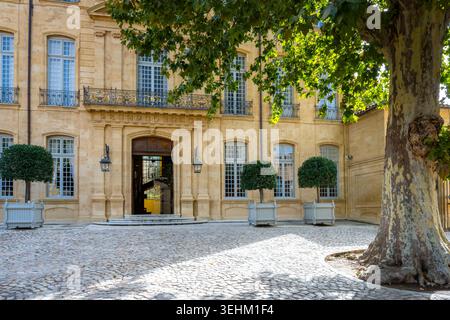 Hotel de Caumont - Centre d’Art art gallery - with Plane Tree - Platanus × hispanica-  in courtyard, Aix-en-Provence, France Stock Photo