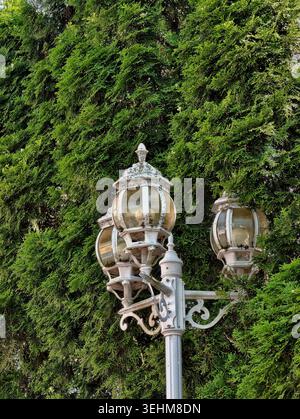 Ornate White Lamppost Amid Dense Foliage. Threeglobe Glass Lanterns Crown Painted Metal Pole Set Against Tall Evergreen Hedge Closeup Perspective High Stock Photo