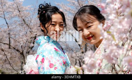 Chinese woman and her mother wear colorful kimono and smile among cherry blossoms in Maruyama Park, Japan, capturing spring travel, tradition, and fam Stock Photo