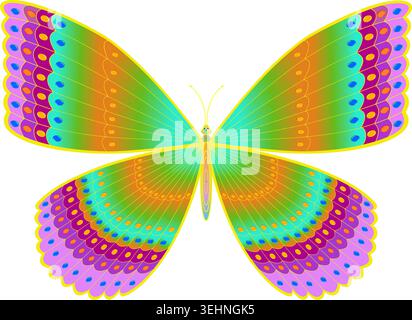 Colorful Decorative Butterfly Vector Illustration Stock Vector