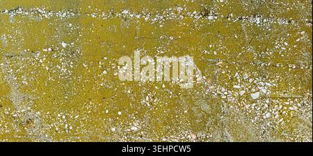 Weathered concrete surface with green moss or algae and exposed aggregate Stock Photo