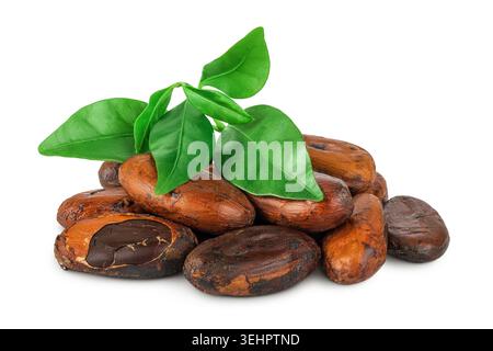 cocoa beans isolated on white background Stock Photo