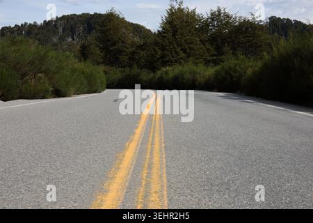 Curving asphalt road through Patagonian forest landscape in Argentina Stock Photo