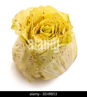 Variegated radicchio of castelfranco isolated on white Stock Photo
