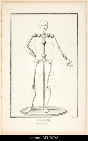 Design: Mannequin by Benoît-Louis Prévost, 1762–77, anatomical figure with articulated joints displayed against neutral ground Stock Photo